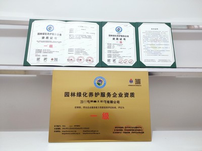 一站式商务服务 上海市营业执照与代码证代办、代理记账及商务代理